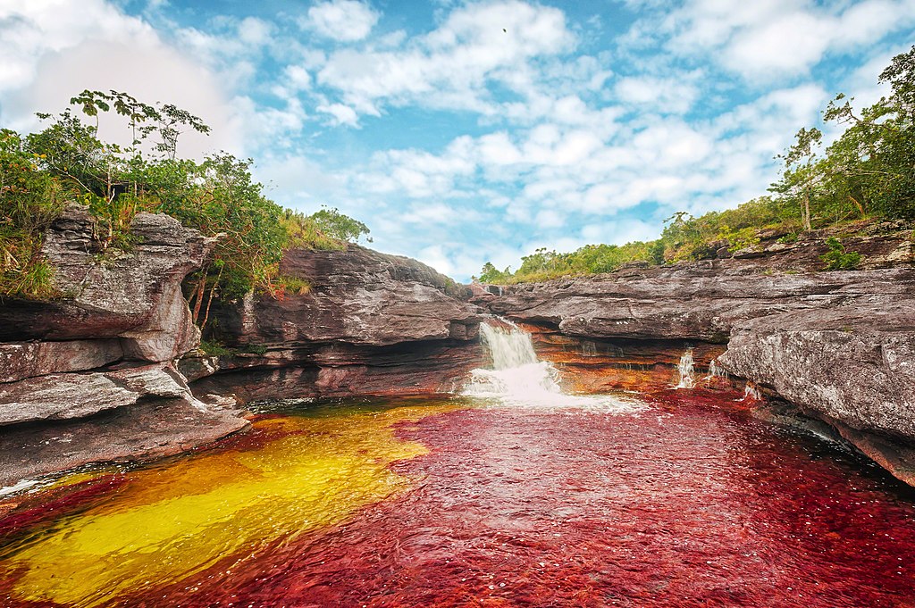 Pogled na Caño Cristales – šarena reka u Kolumbiji tokom sezone boja