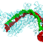 CRISPR tehnologija i nova era genetskog inženjeringa
