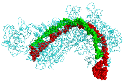 CRISPR tehnologija i nova era genetskog inženjeringa