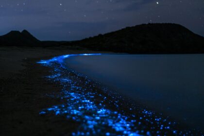 Bioluminiscentne plaže: Kada more svetli u nijansama plave