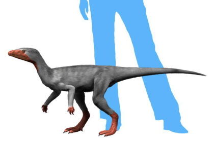 Trijas: rađanje dinosaurusa i prvih sisara (15/35)