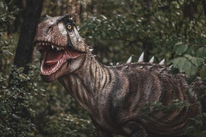Svet pre dinosaurusa: Paleozoik i njegovi evolutivni skokovi
