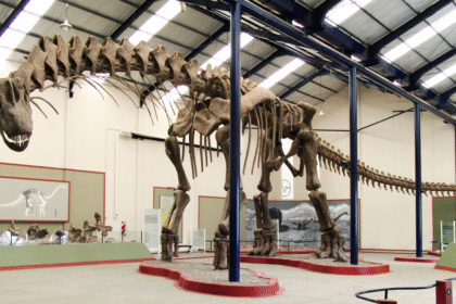 Dinosauri: Mitovi i istine koje otkriva savremena nauka