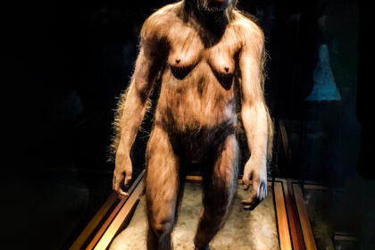 Miocen i Pliocen: vreme kada su nastali prvi hominidi
