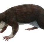 Prvi sisari: Kako su preživeli eru dinosaurusa?