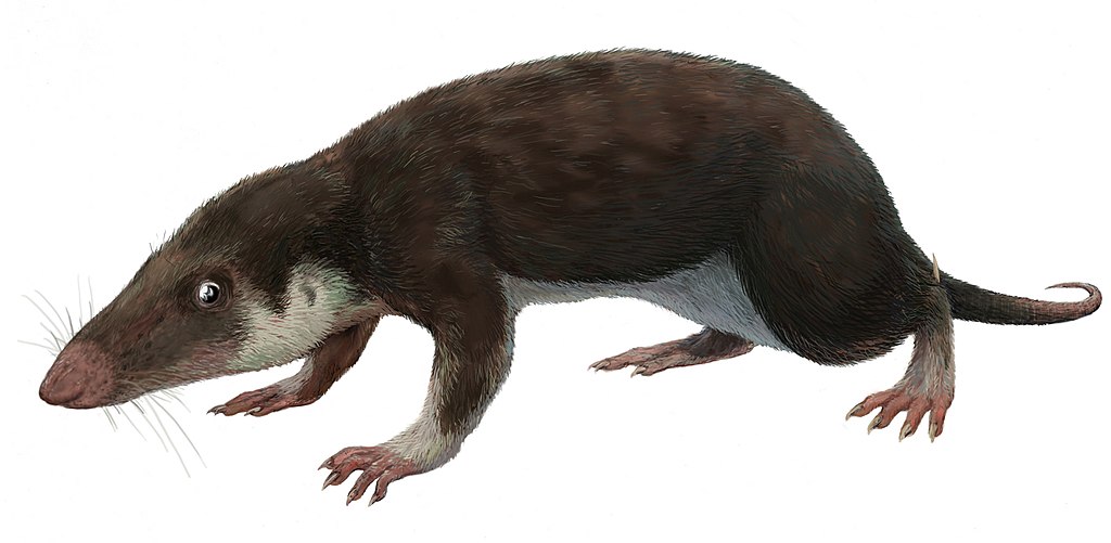 Prvi sisari: Kako su preživeli eru dinosaurusa?