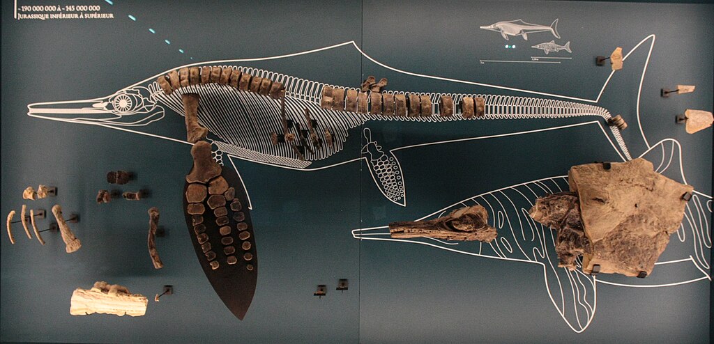 Morska čudovišta Mezozoika: Vladari okeana pre dinosaurusa