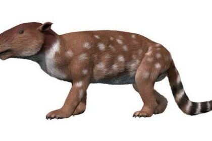 Paleocen: Novi poredak života nakon dinosaurusa