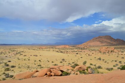 Oligocen: doba kada su nastale savane i prvi moderni sisari