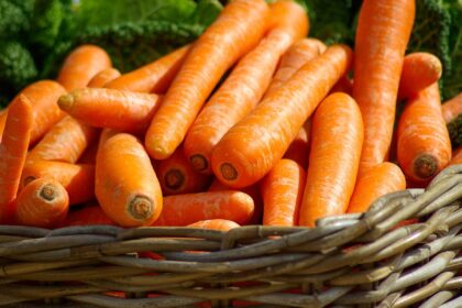 Vitamin A: uloga u vidu, koži, imunitetu i tragična priča polarnika (2/15)