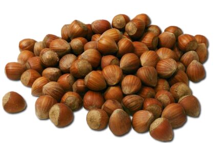Vitamin E: Antioksidans koji čuva ćelije od propadanja