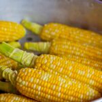 Vitamin B3: pelagra, metabolizam i uloga niacina (10/15)