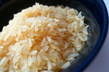 Tiamin (vitamin B1): Ključ energije i čuvar nervnog sistema (8/15)