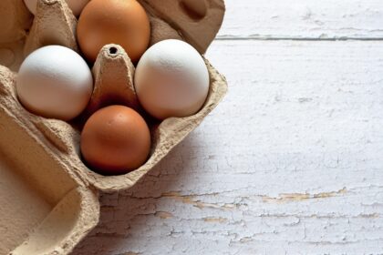 Vitamin B12: Uloga u nervima i stvaranju krvi