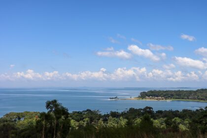 Viktorijino jezero: najveće jezero po površini u Africi