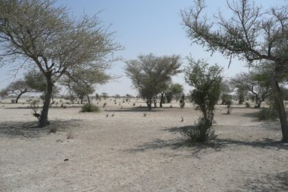 Francuske vojne intervencije u Africi: Serval, Barkane i Sahel