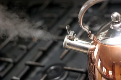 Toplota: Šta je i kako se razlikuje od temperature